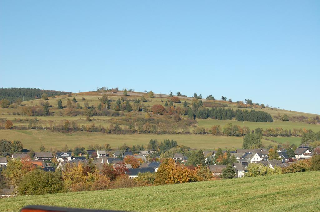 Ferienwohnungen Westfalenhof Willingen  Exterior foto